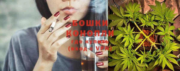 винт Алексин