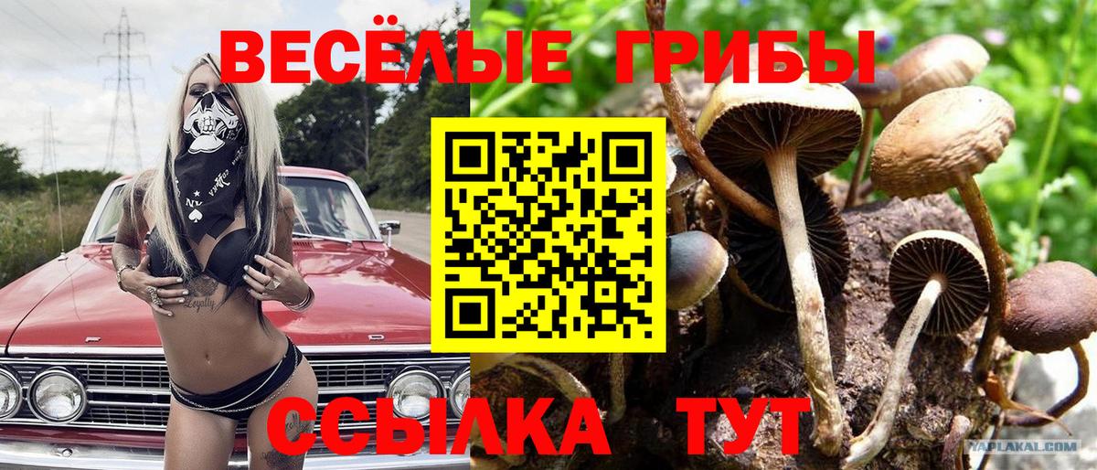 Саянск  Псилоцибиновые грибы мицелий  Вход с VPN 
